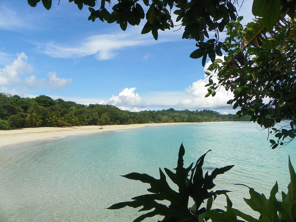 Shrimp Farm Waters