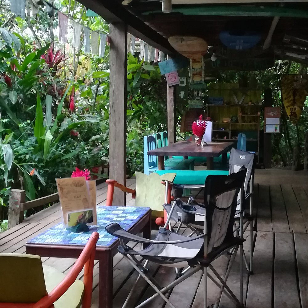 Coffee Plantation