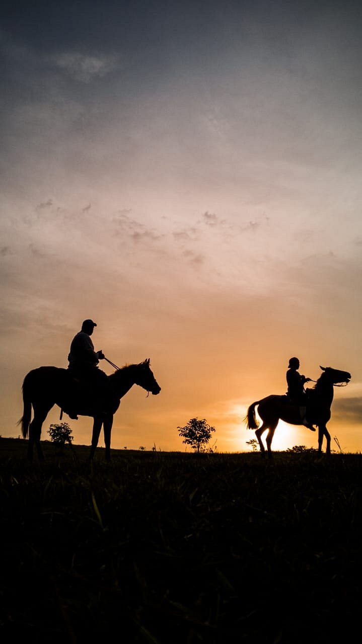 Ranch View